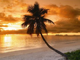 New Zealand holiday with Fiji stopover