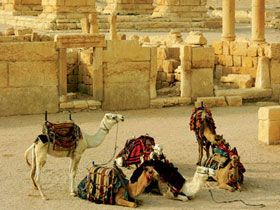 Lebanon and Syria holiday