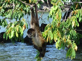 Nicaragua holidays, tailor made tour