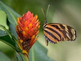 Costa Rica tailor made holiday, vistas and volcanoes