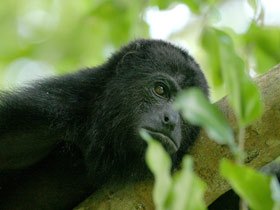 Guatemala and Belize tailor made holiday