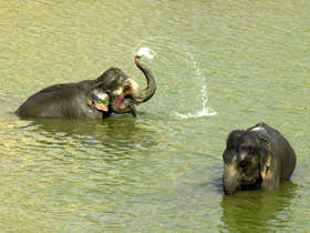 Rajasthan tailor made tours, India
