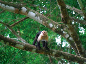 Self drive holiday in Costa Rica