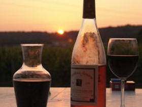 Wine tasting holiday in the Loire Valley 