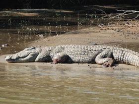 Zululand & Mozambique holiday, wildlife and beaches
