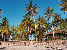 Tanzania holidays, Selous, Zanzibar & the coast