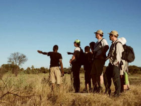 Botswana family adventure holiday