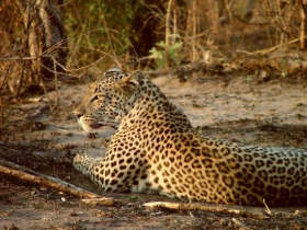Botswana family adventure holiday