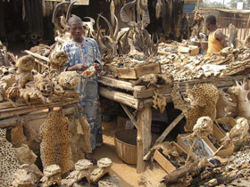 Togo and Benin voodoo culture tour