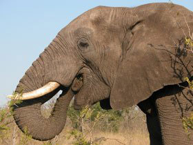 Kwa Zulu Natal self drive South Africa holiday