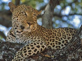 Kwa Zulu Natal self drive South Africa holiday