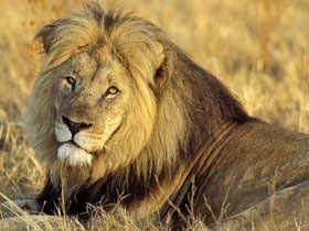 Kwa Zulu Natal self drive South Africa holiday