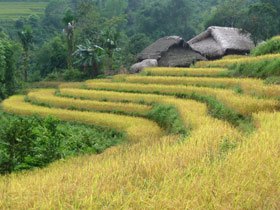 Off the beaten track holiday to Vietnam