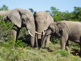 Classic South Africa self drive holiday