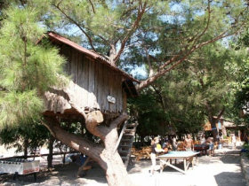 Tailor made tours of Turkey