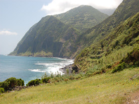 Whale watching tours in the Azores