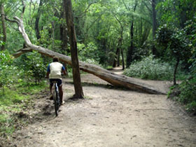 Rural cycling tours in South India  