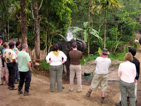 Walking and cycling holiday in Kerala, India