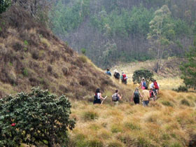 Walking and cycling holiday in Kerala, India