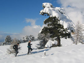 Snowshoeing in the French Alps