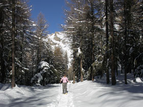 Snowshoeing in the French Alps