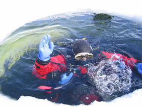Winter activity holiday in the French Alps