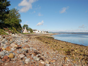 Dolphin watching holiday in Scotland