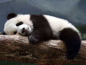 Tailor made family holiday to China