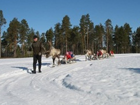 Christmas without Santa in Lapland, grown ups only