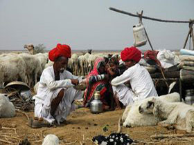 Gujarat holiday and the Rann of Kutch, India