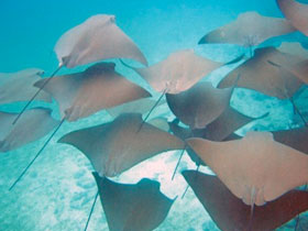 Galapagos holiday cruise options