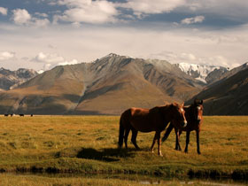 Extreme adventure holiday in Ladakh