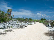 The Bluff, Cayman Brac. Photo by Cayman Islands Tourist Board
