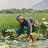 Tailormade trips to Laos and Cambodia