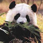 Tailormade trips to China