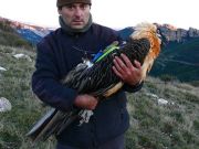 Lammergeyer, volunteer project on climate change