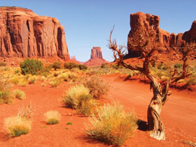 National Parks holiday in America, Wild West