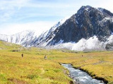 Surveying on Snow leopard conservation volunteer work, Altai