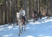Carriage rides, horse riding in Transylvania