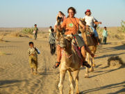 Camel, volunteering in India