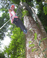 Up in the canopies on Costa Rica tailormade holiday