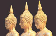 Experience Thai culture