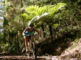 Biking In Australia