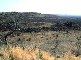 Holiday in South Africa, Madikwe and Waterberg, tailormade
