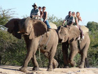 Elephant safari, Kruger conservation experience