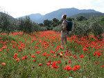 Summer fields near Valencia self catering accommodation