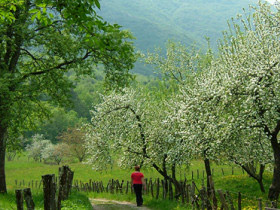 Walking in the Julian Alps, Slovenia by Responsible Travel