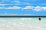 Beach on Mafia Islands diving holiday