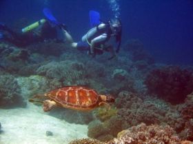 Philippines and Cambodia marine conservation holiday