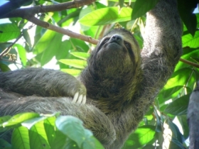 Costa Rica highlights holiday